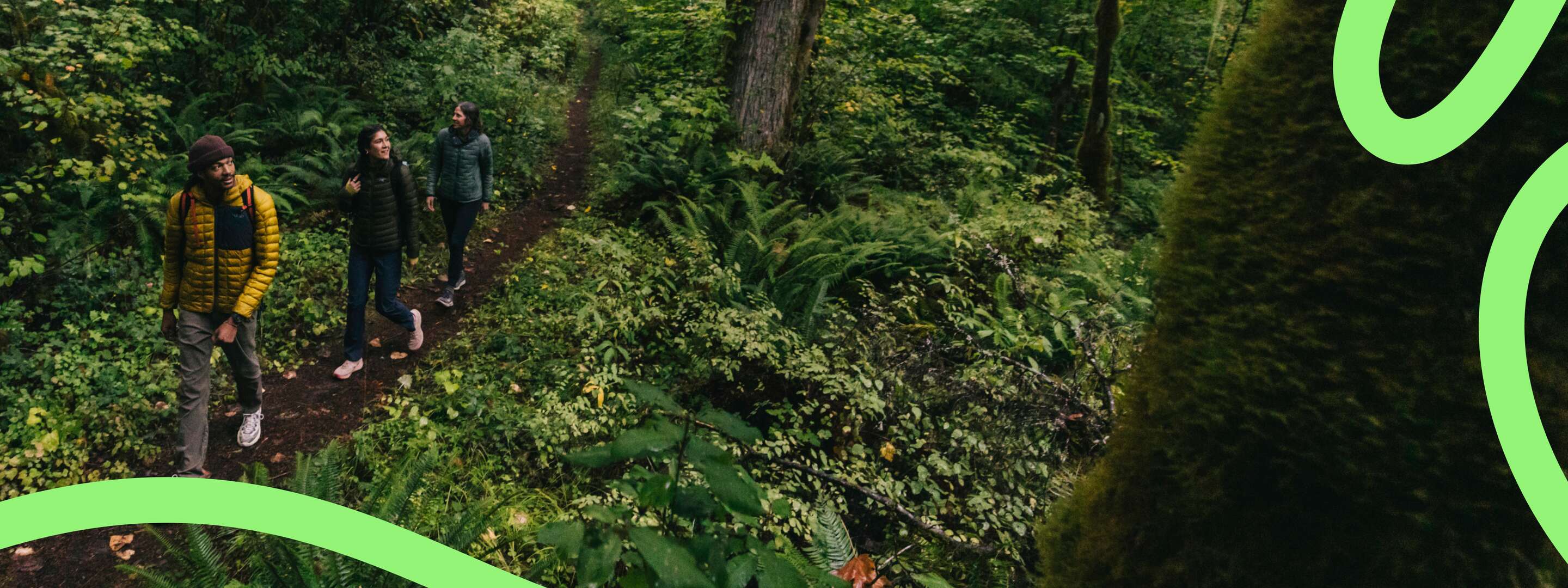 Three hikers walking across a dirt trail surrounded by a bustling green forest.