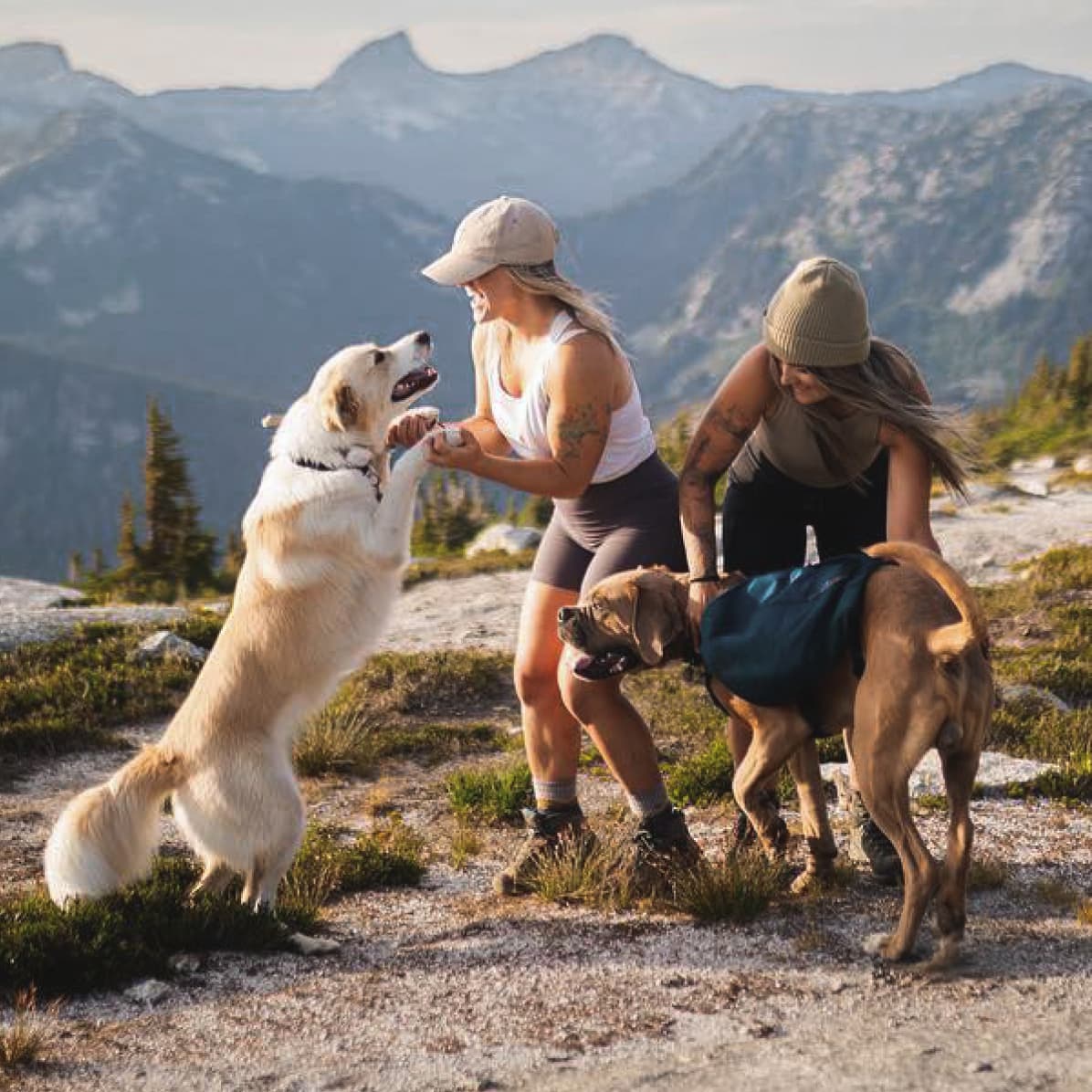 AllTrails users hitting the trails and finding their way outside
