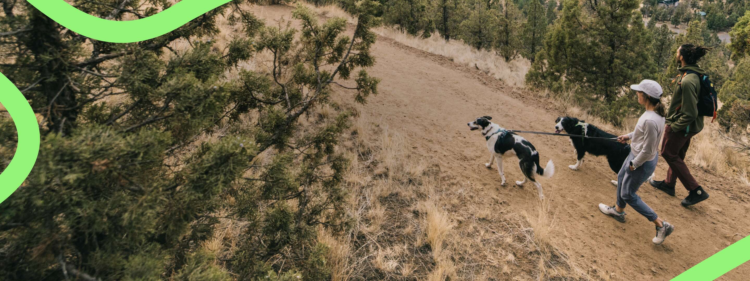 Two hikers walking their dogs across a dirt trail that is surrounded by trees and looks out onto an overcast city.